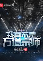 我真不是万道宗师