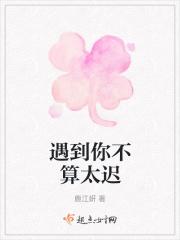 遇到你不算太迟