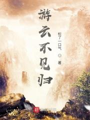 游云不见归