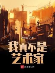我真不是艺术家