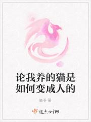 论我养的猫是如何变成人的