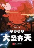 西游后传,大圣齐天