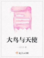 大鸟与天使