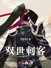 双世刺客