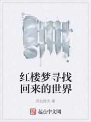 红楼梦寻找回来的世界