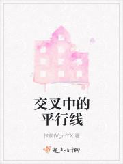 交叉中的平行线