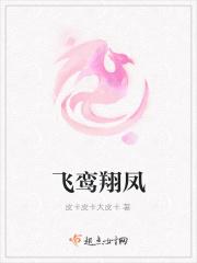 飞鸾翔凤