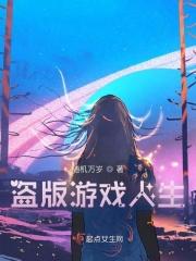 盗版游戏人生