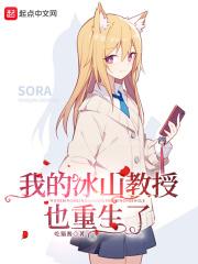 我的冰山教授也重生了