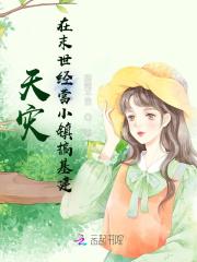 天灾:在末世经营小镇搞基建