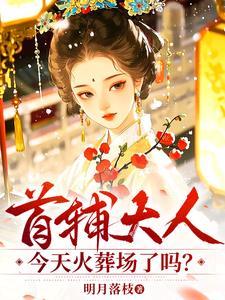 首辅大人今天火葬场了吗？